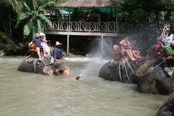 Elephant spraying tourists